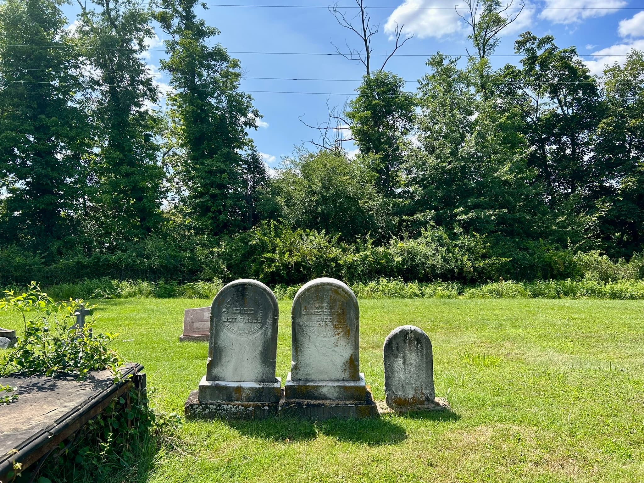 Large tree and cemetery markers at Henderson Cemetery